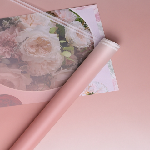 Пленка матовая 50мкм 58см х 10м прозрачный кант пудра