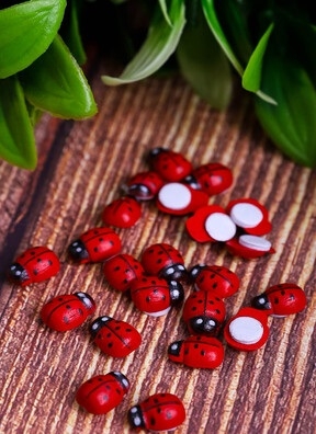Липучка Божья коровка 24 шт Biedronka 2 (1,5 см)
