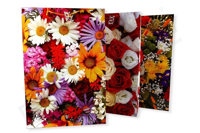 Сумочка ламинированная (42 × 62 × 15 см) вертикальная