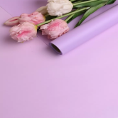 Пленка матовая 60см х 10м  на втулке сиреневый светлый