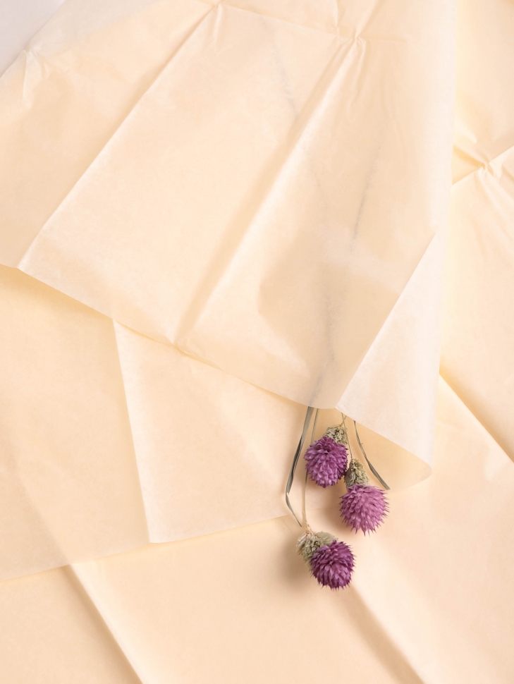 Бумага тишью 50*66 см 10 шт кремовый