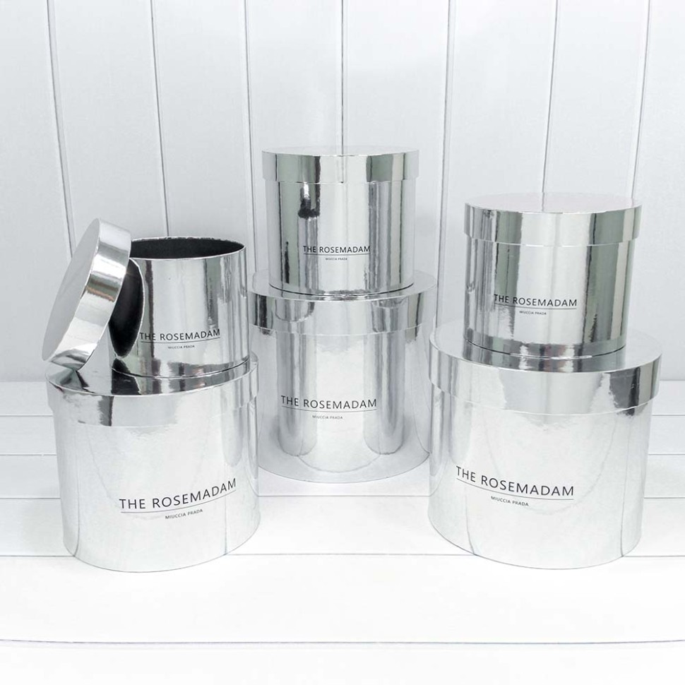 Коробки Цилиндр Набор 6 в 1 25×22,5 "The Rosemadam" Серебряный