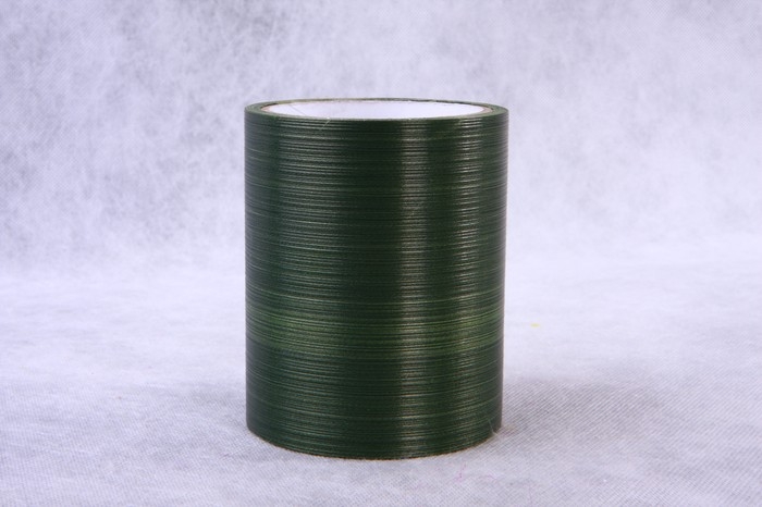 Лента Аспидистр 12 см*10 м